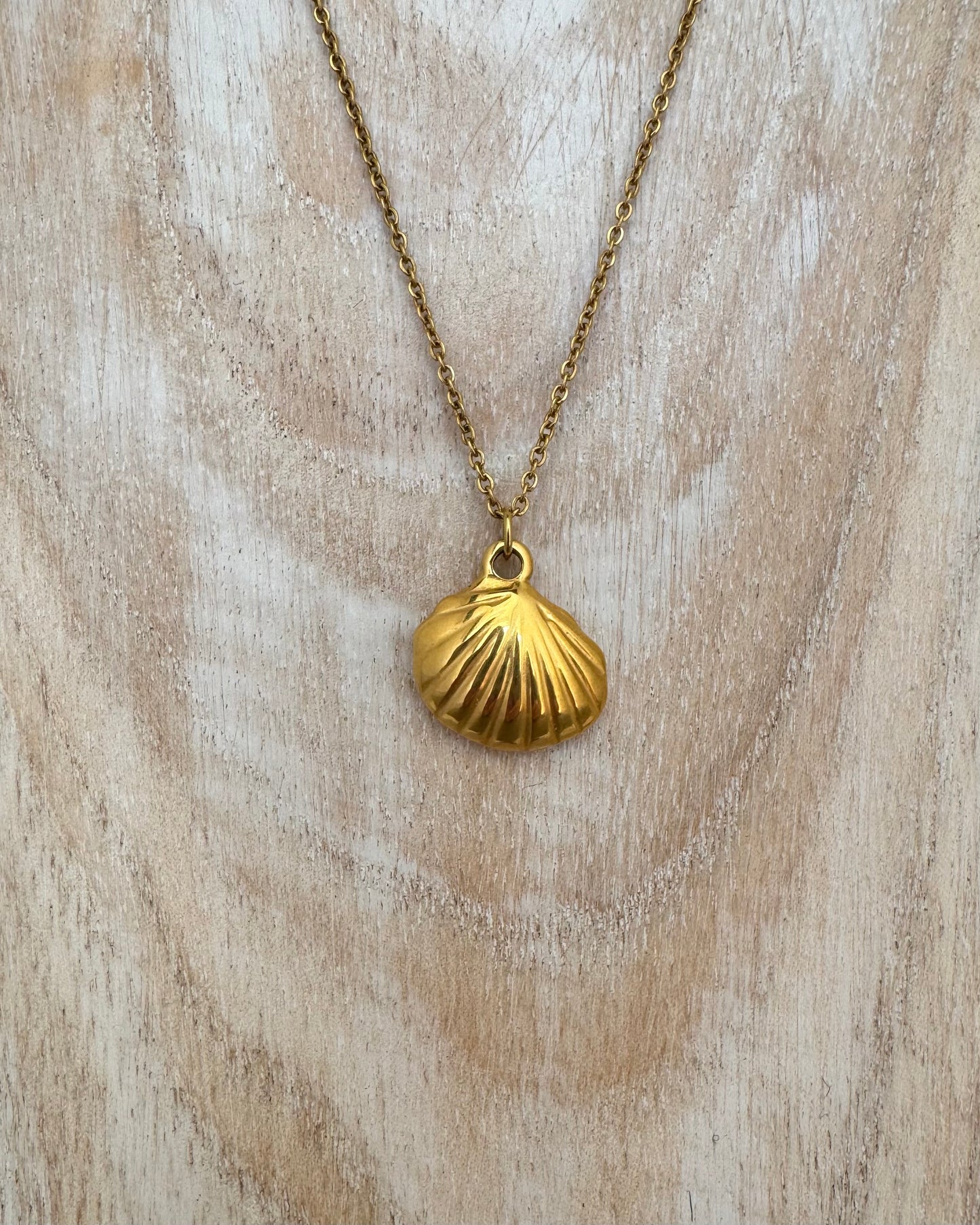 Waterproof Gold Plated Scallop Shell Necklace