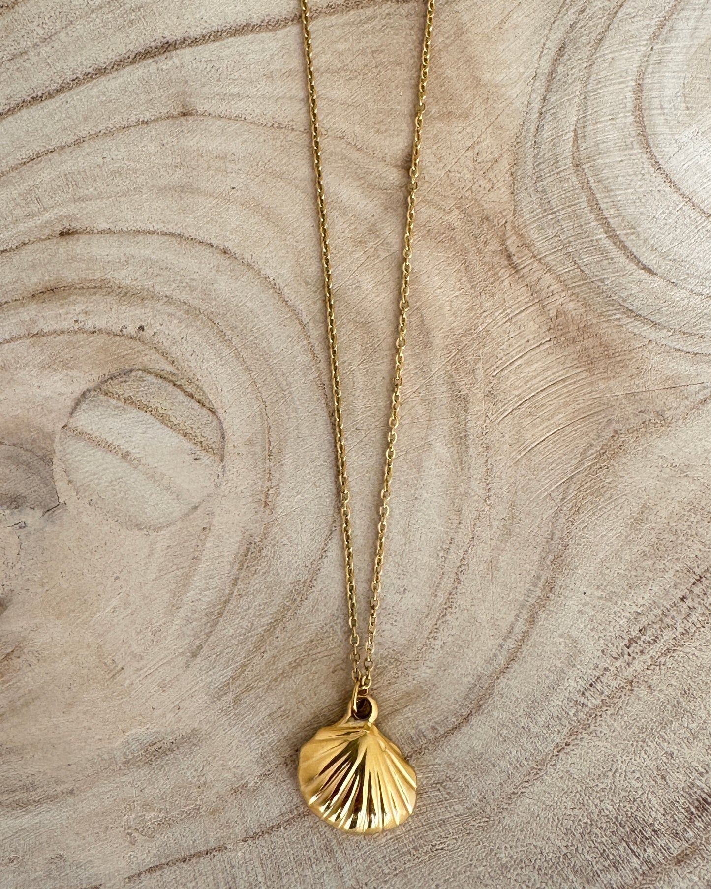 The Glowproof Gold Shell Necklace