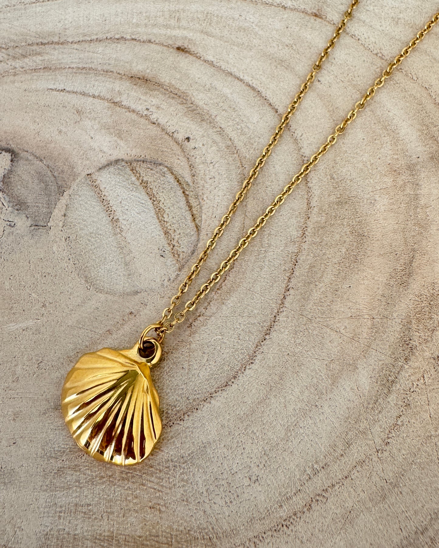The Glowproof Gold Shell Necklace