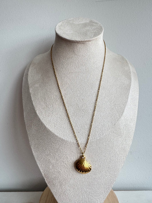 Gold Shell Necklace