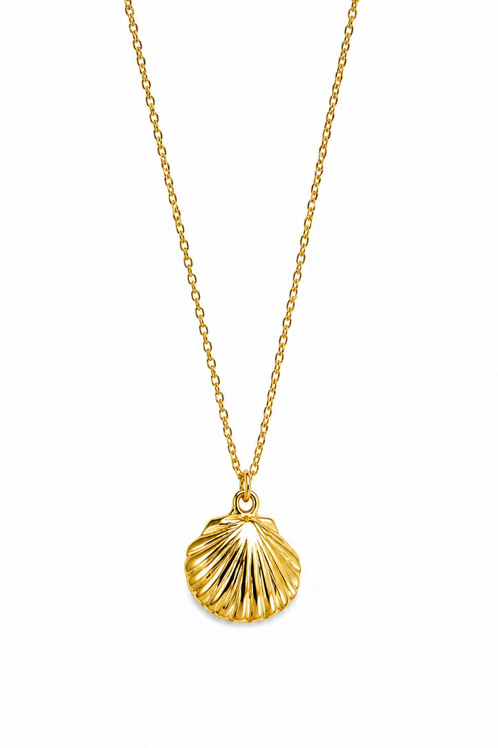 Golden Shore Gold Plated Waterproof Necklace