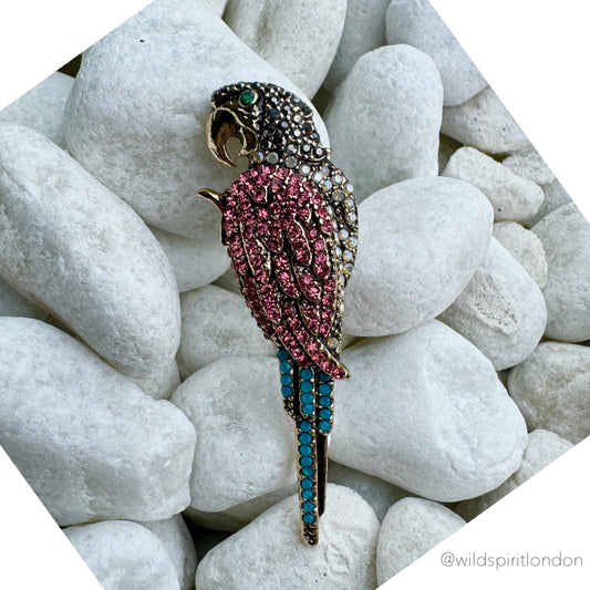 Pink & Blue Parrot Brooch