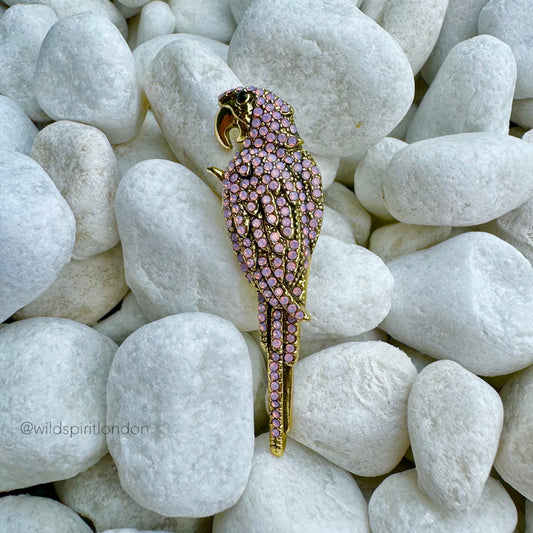 Pink Parrot Brooch